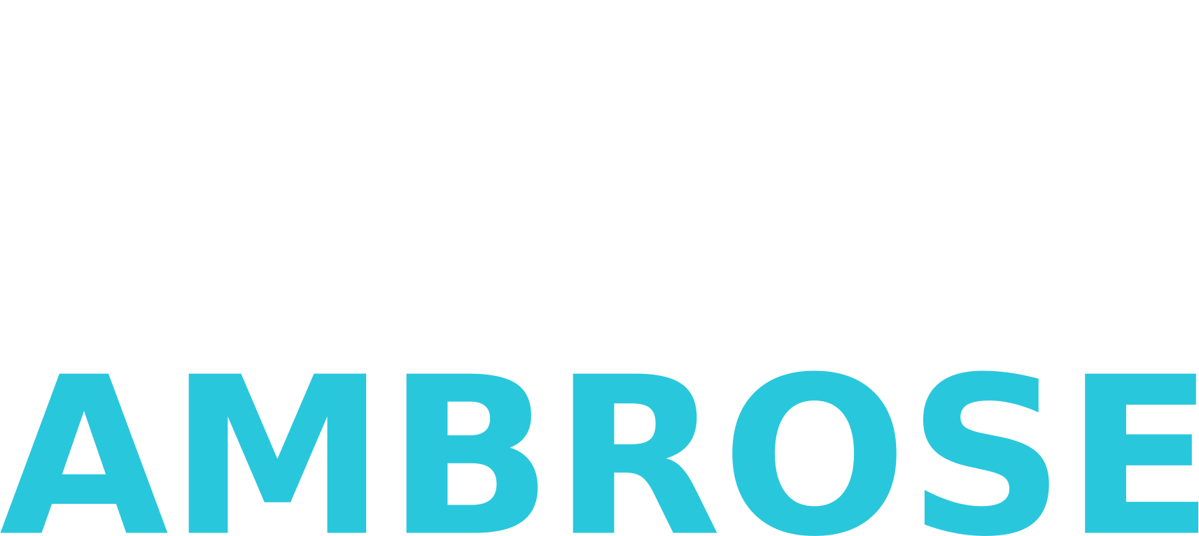 Ross Ambrose for High Springs City Commission, Seat #2